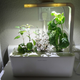 Click & Grow Herb Garden, $48